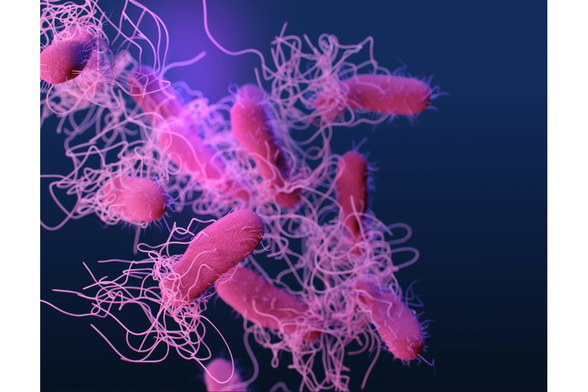 AI Might Have Found The Next Generation Of Antibiotics