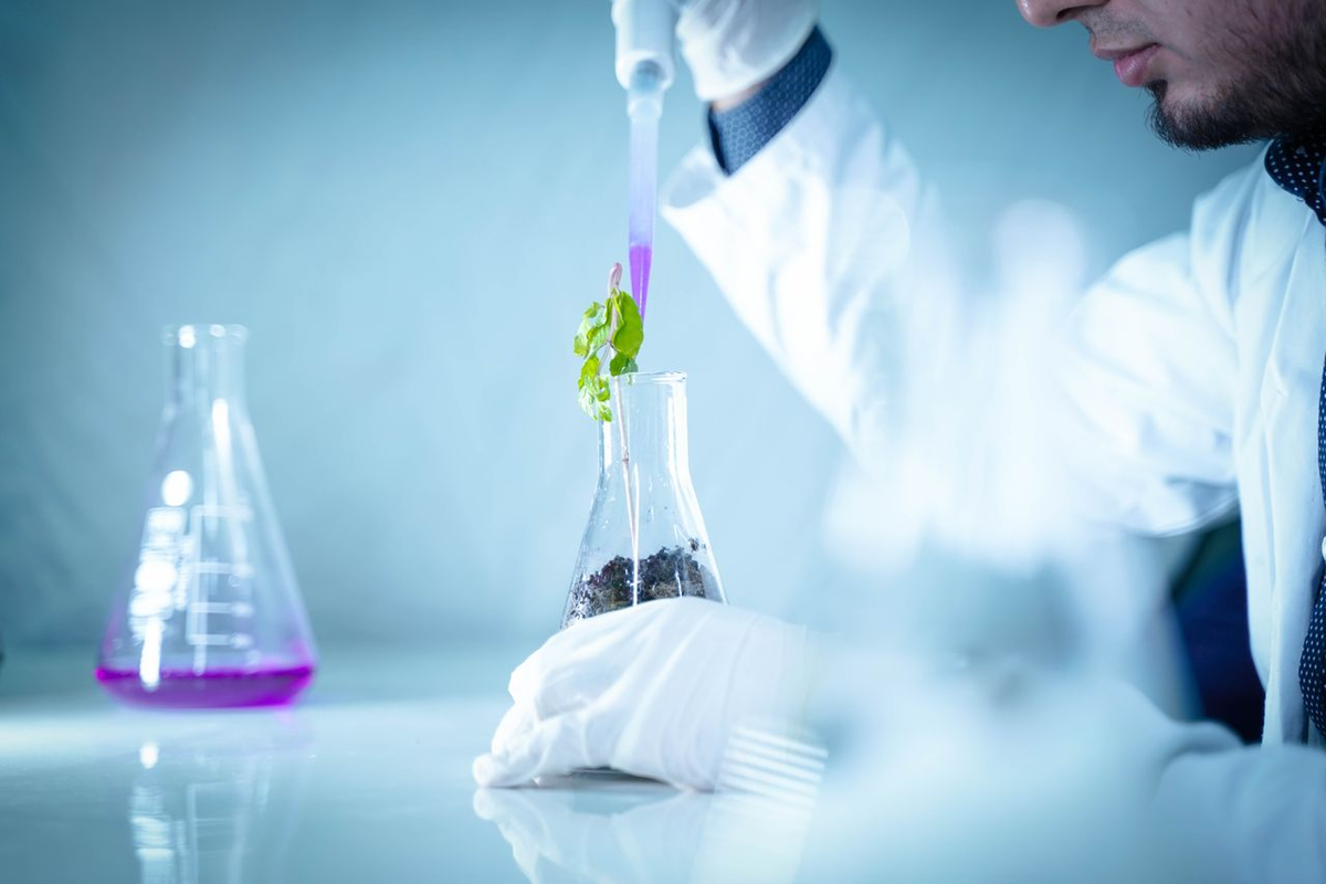 The Forensics Of Prime Medicine: Deconstructing The Volume Anomalies And Corporate Plumbing Of PRME