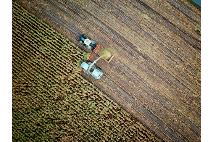 Grains Report - Wednesday, October 14