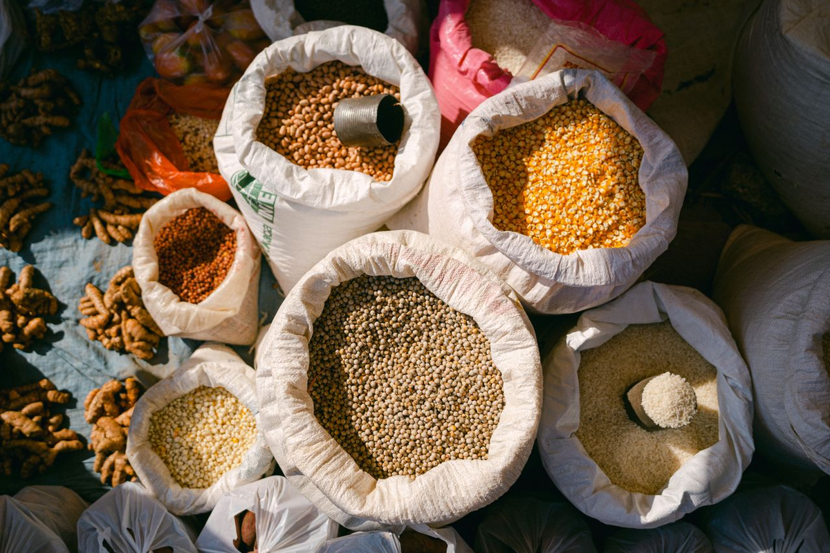 177.8 Corn Yield Guess: What Could Friday's USDA Report Bring?