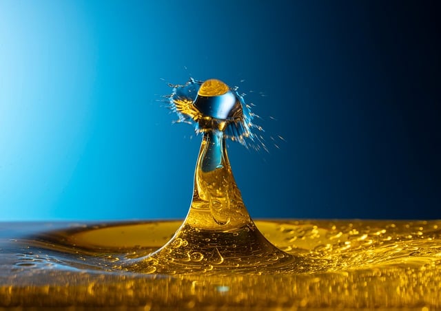 wallner-drop-photography-10120916_640.jpg