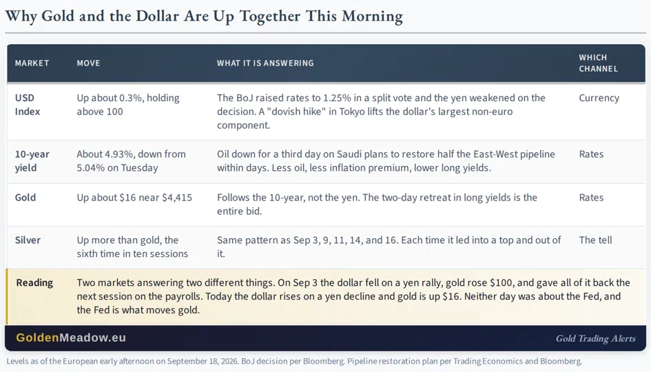 Gold and USD… Rallied Together - Image 1