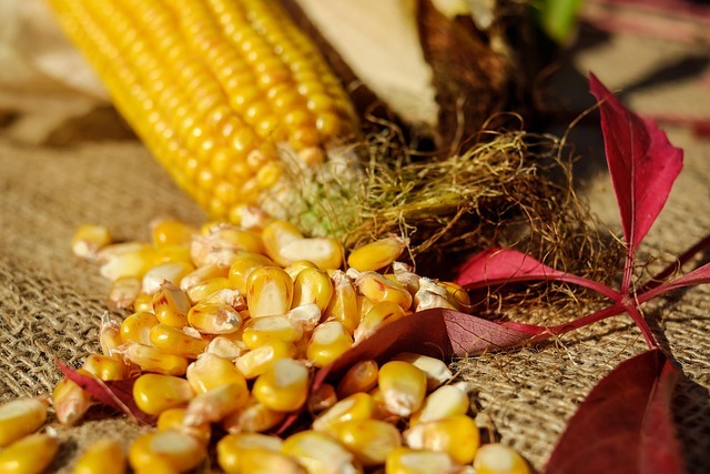 USDA Acreage Report Was A Dud — Corn Popped 14 Cents Then Fizzled. What's Next?