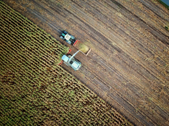 AgMaster Report - Tuesday, May 12