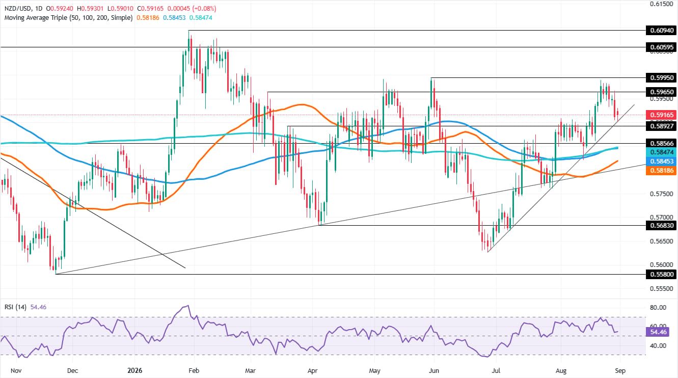 NZD/USD daily chart