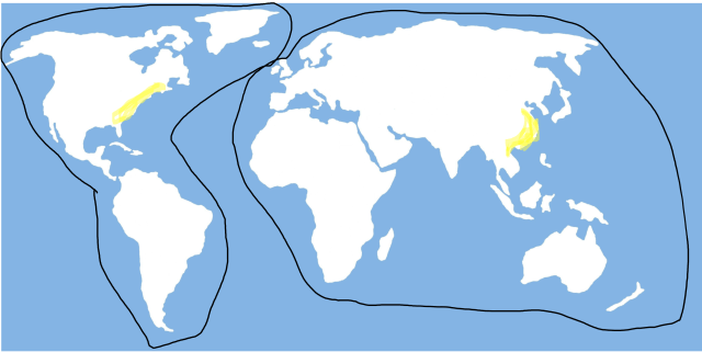 A simplified world map highlighting two regions in yellow: one in North America and one in East Asia.