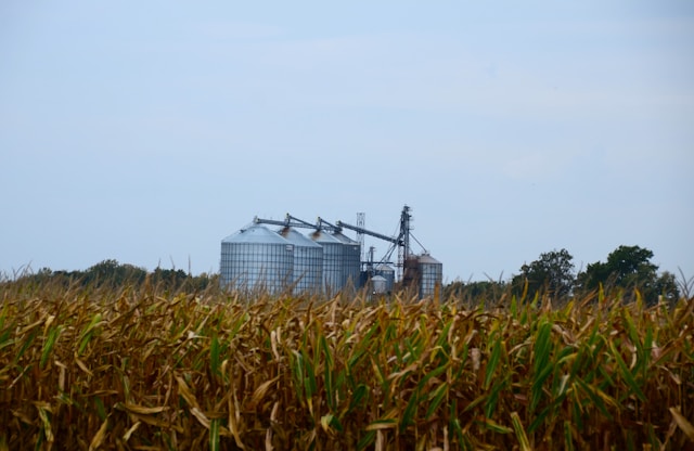 Will US/China Talks Develop Into Fruition - The Corn & Ethanol Report