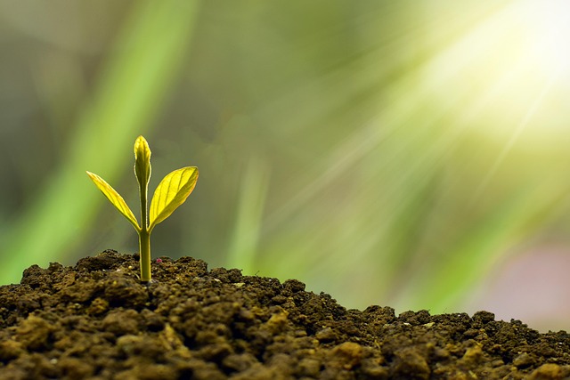 The Evolution Of Unicorn Investing