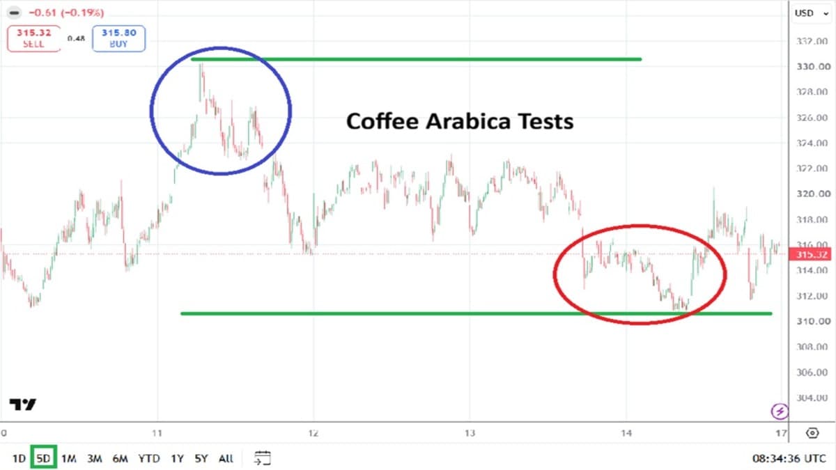 coffee-weekly-20260816.jpg image