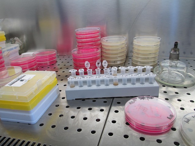 Biotech Breakout