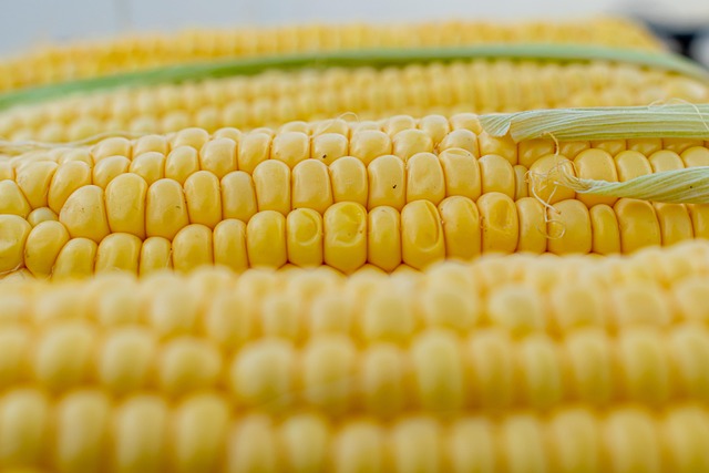 June WASDE Time - The Corn & Ethanol Report