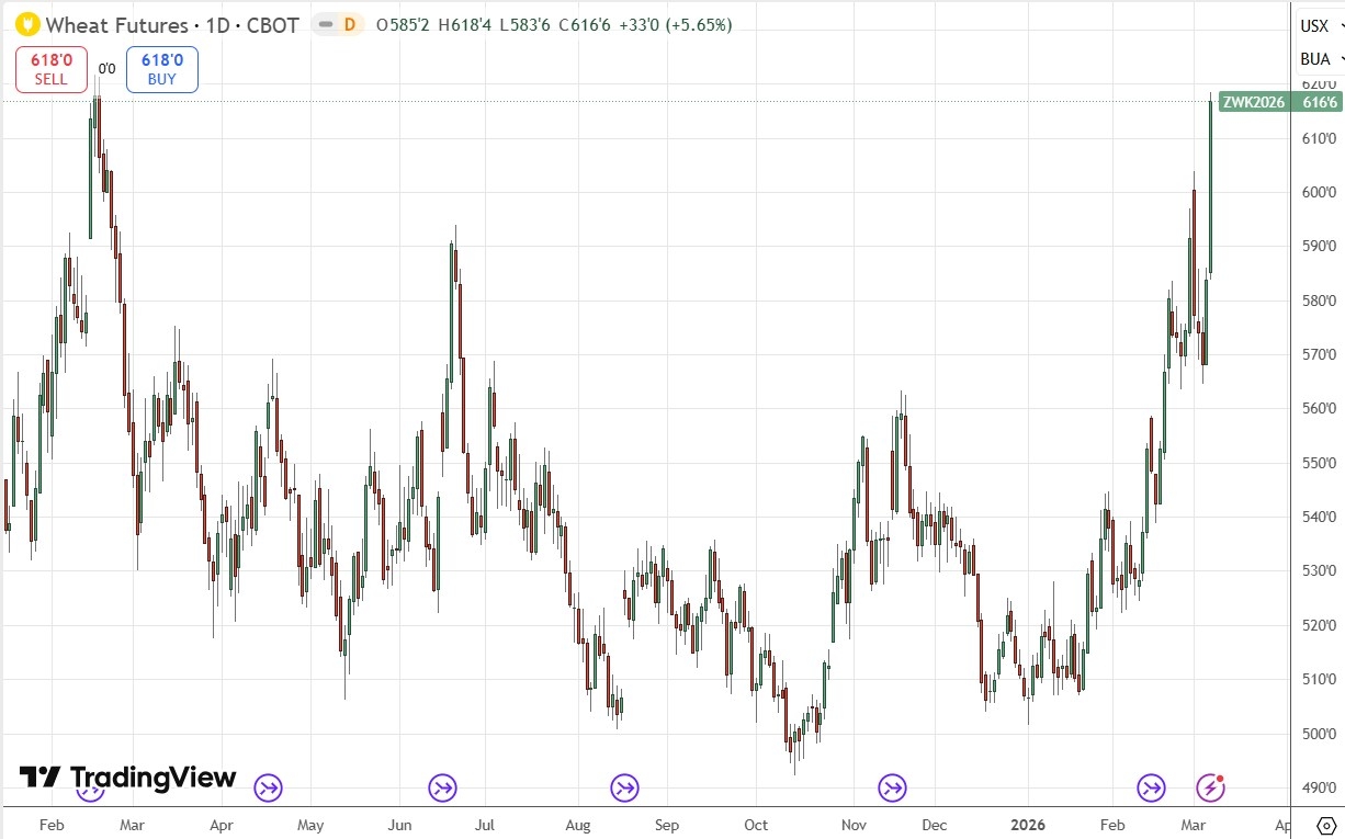 Wheat Daily Price Chart 08/03/2026