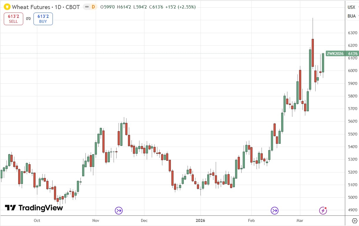 Wheat Futures Daily Price Chart 15/03/2026