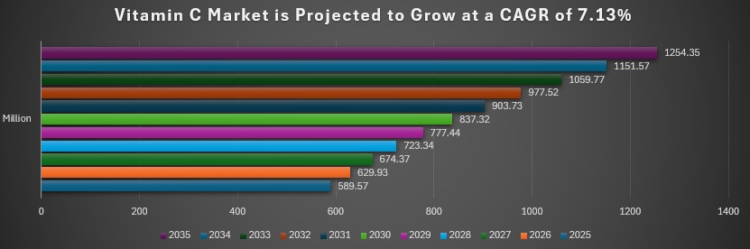 Vitamin C Market Report.jpg