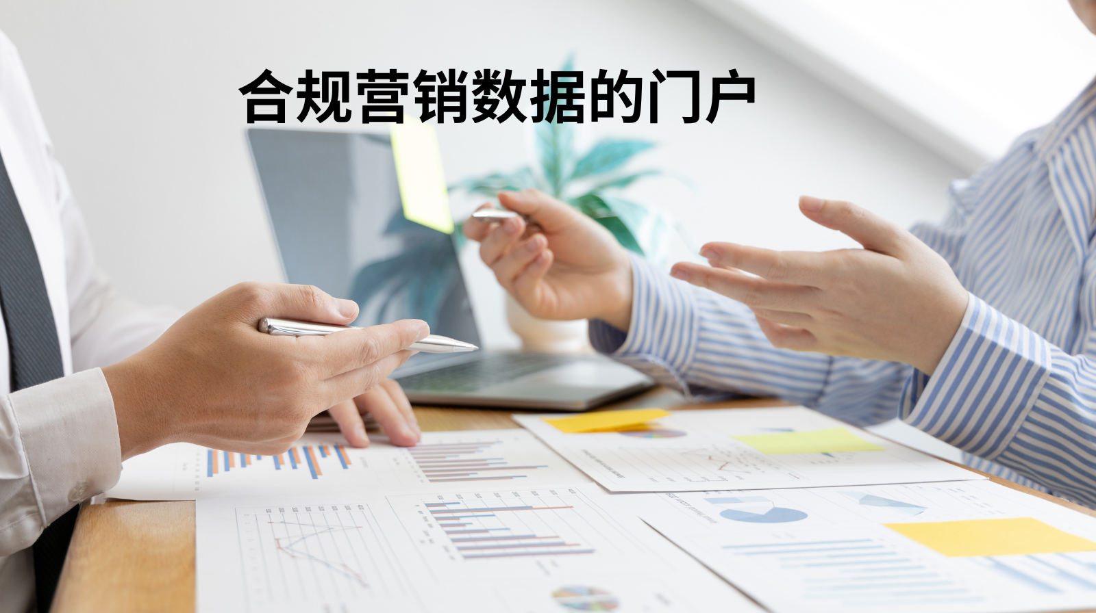ws 数据库 (2).png