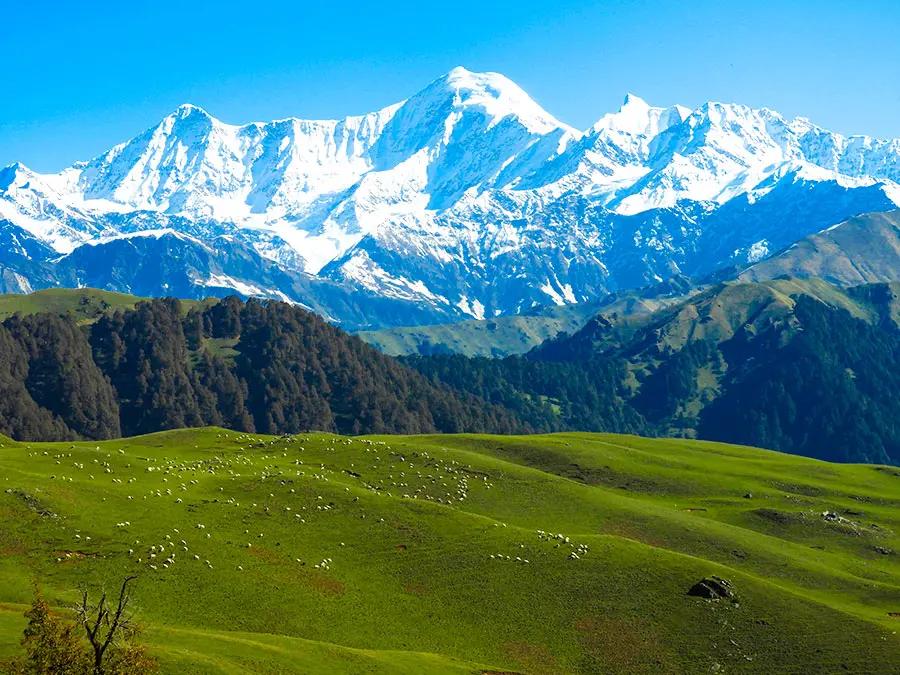 Dayara Bugyal Trek 2026: Best Beginner Winter Trek in Uttarakhand | Itinerary, Cost & Guide | TourMyHoliday