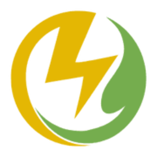VSS POWER ENGINEERING SERVICES LTD.