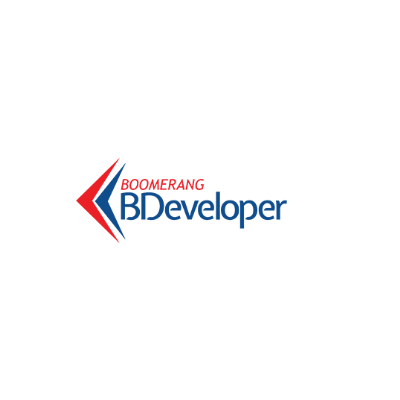 BDeveloper