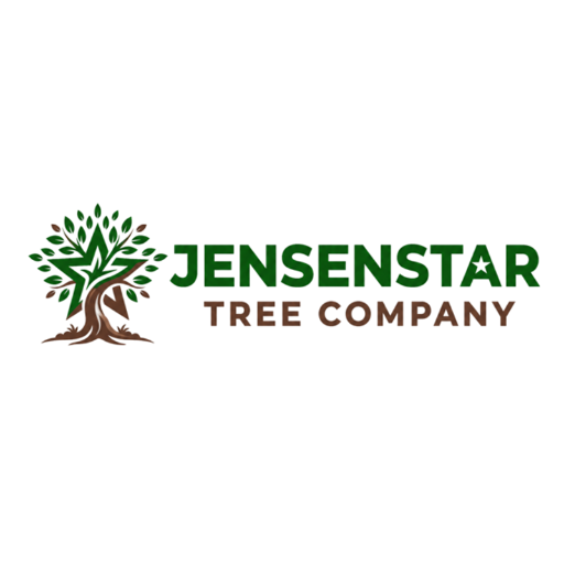 JesenStar Company