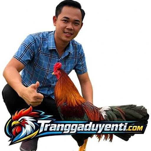 traiga duyenti