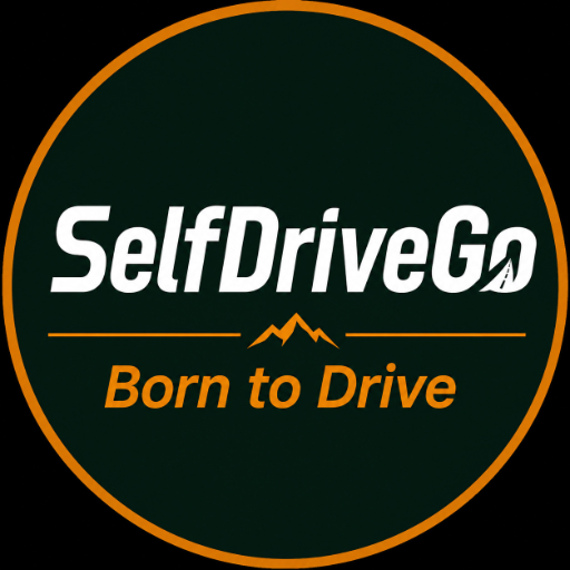 SelfDrive Go