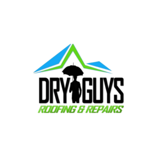 dryguys roofing