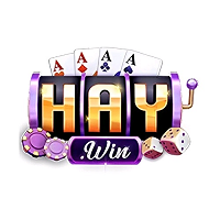 haywin88us