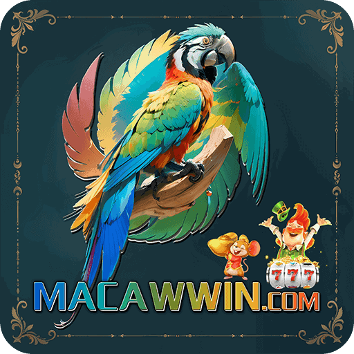 macawwin macawwin
