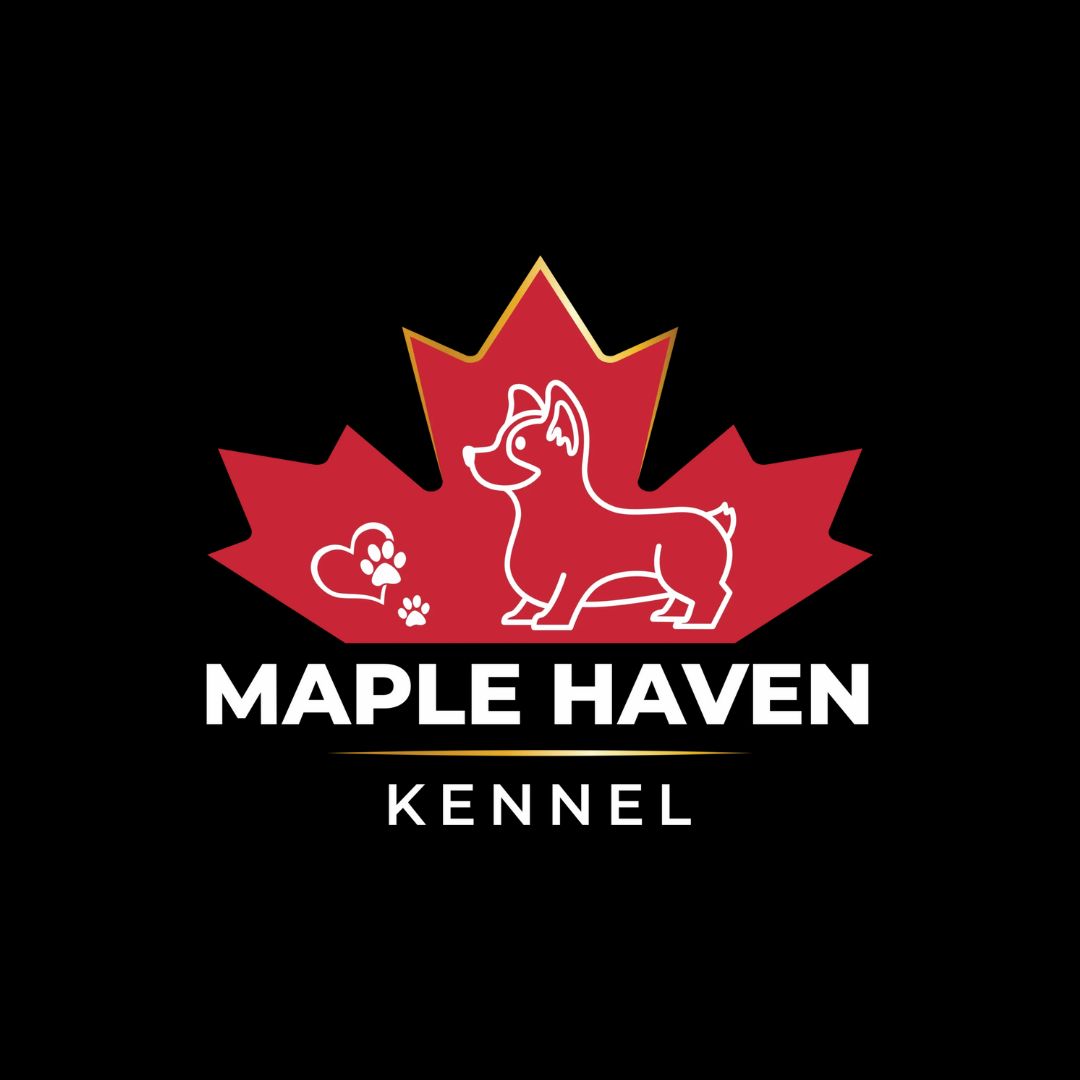 Maple Haven Kennel