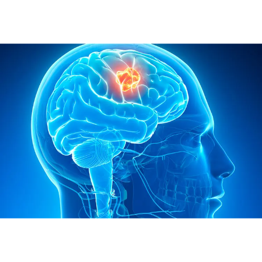 Buy NeuroSalt Supplement with Fast Delivery