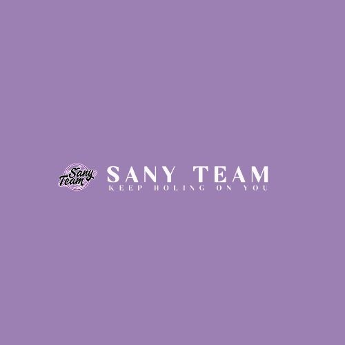 sanyteamorg