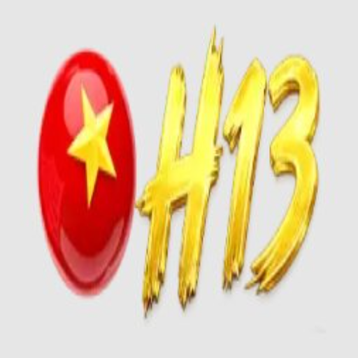 H13
