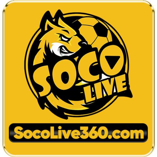 Socolive360 com