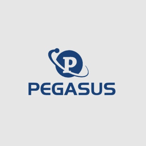 Pegasus Sculpture