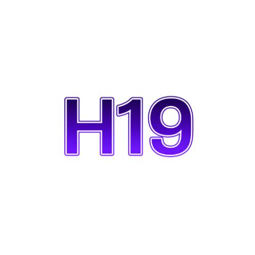 H19