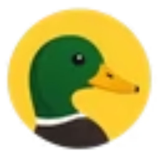 Coin Duck