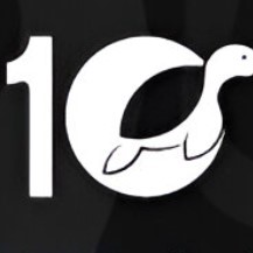10 turtle
