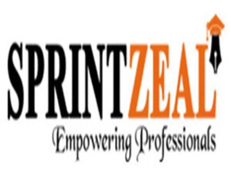 zebaafarheensprintzeal