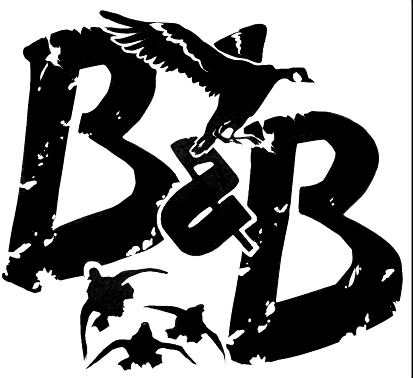 Birds And Bucks