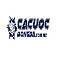 CÁ CƯỢC BÓNG ĐÁ
