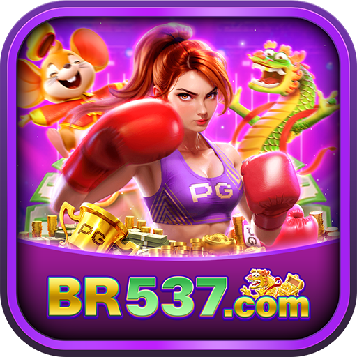br537 br537