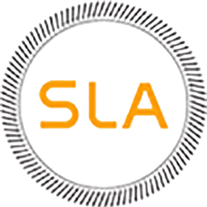 delhislaconsultants