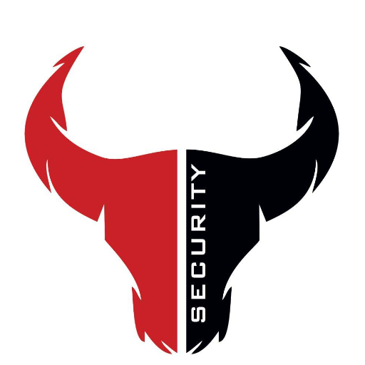 Bullseye Security 