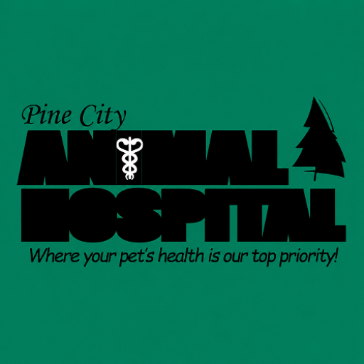 Pine City Animal Hospital