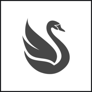 Grey Swan