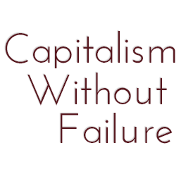Capitalism Without Failure