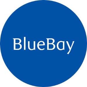 BlueBay Asset Management