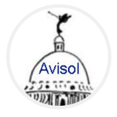 Avisol Capital Partners