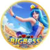 Bigbossukk