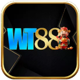 Wt88info